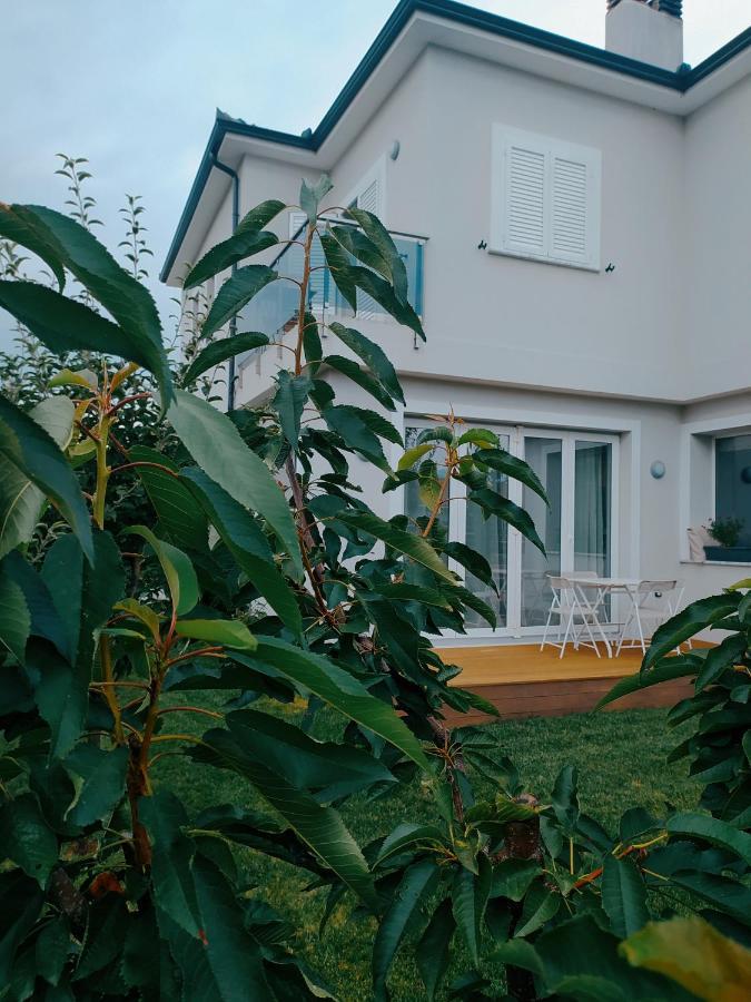 Marena B&B Πόγραδετς Εξωτερικό φωτογραφία