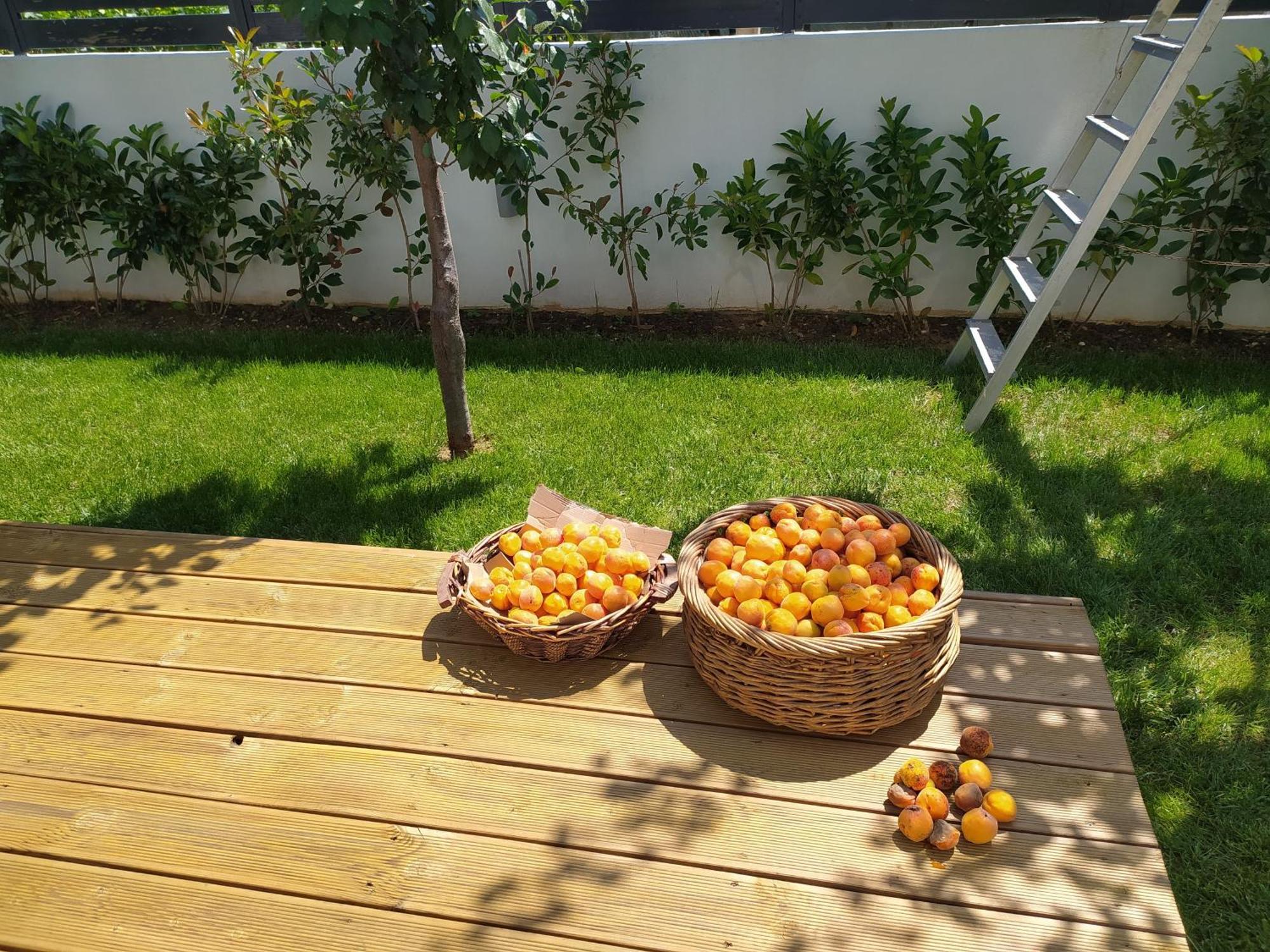 Marena B&B Πόγραδετς Εξωτερικό φωτογραφία